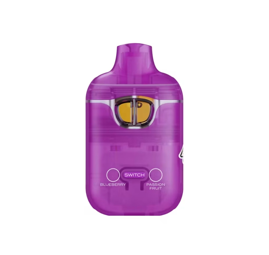 Boutiq Switch Blueberry X Passion Fruit 2G
