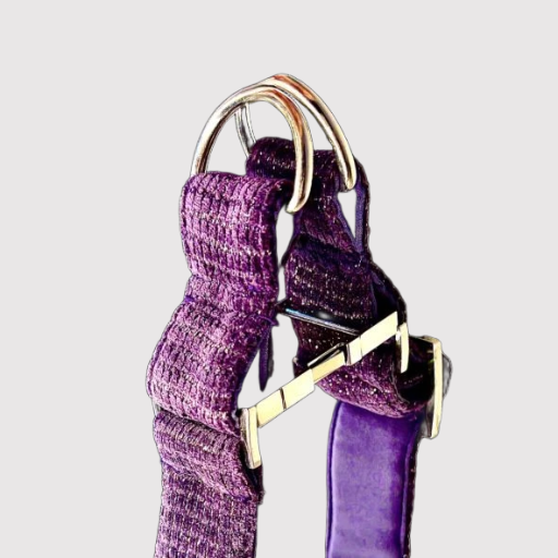 No-Pull Neck Collar