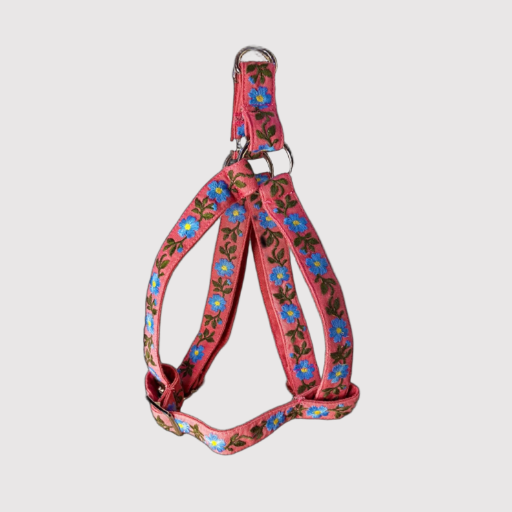 Step-In Harness