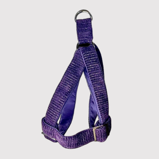 Step-In Harness