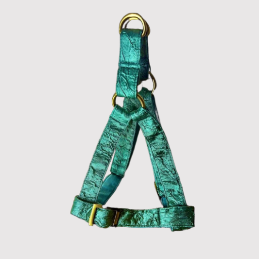 Step-In Harness