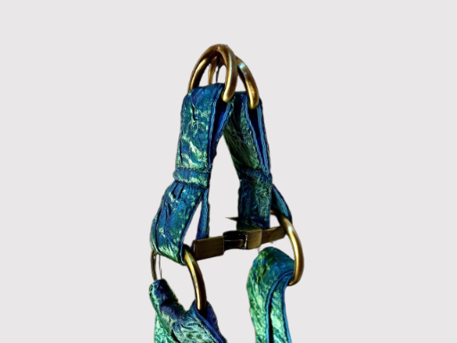 Step-In Harness