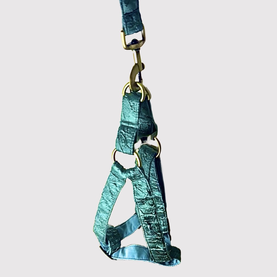 Step-In Harness