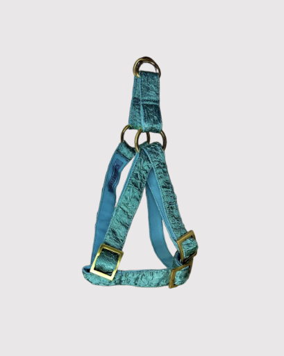 Step-In Harness