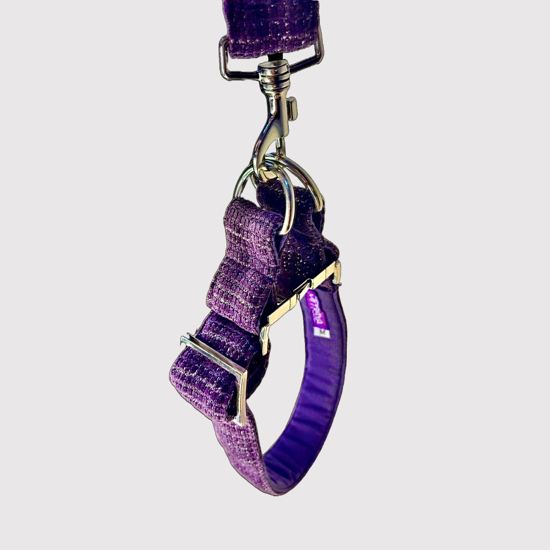 No-Pull Neck Collar