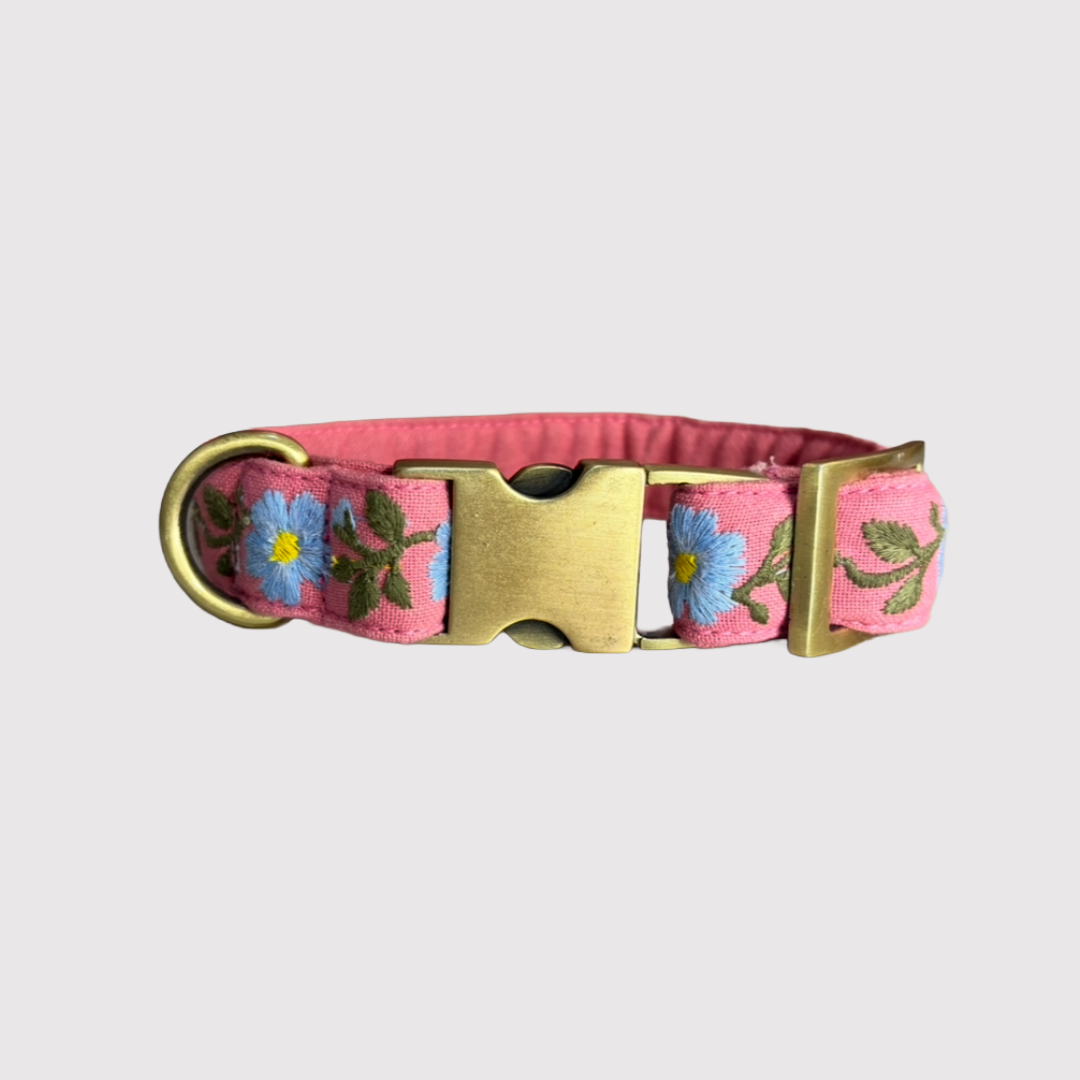Neck Collar