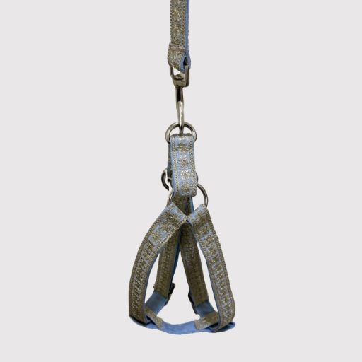Step-In Harness