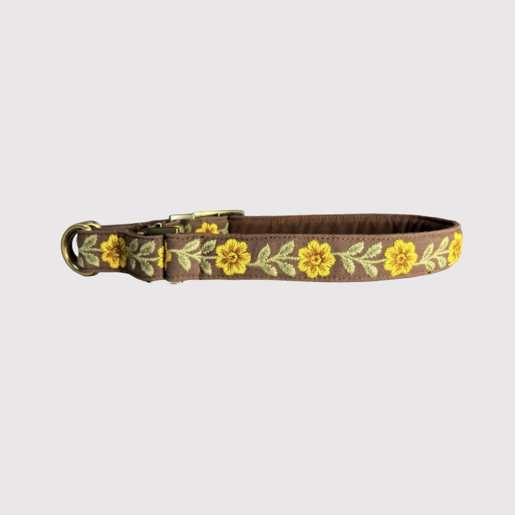 No-Pull Neck Collar
