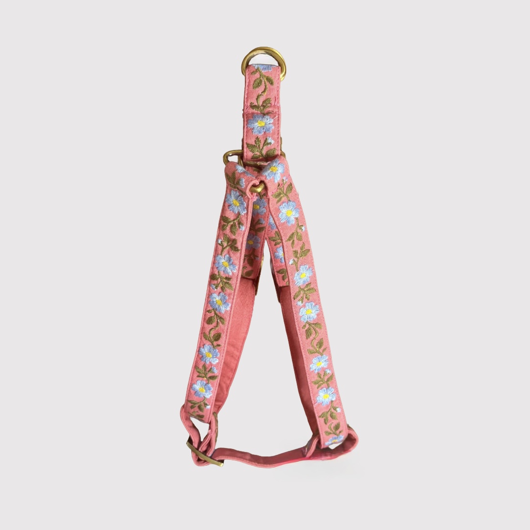 Step-In Harness