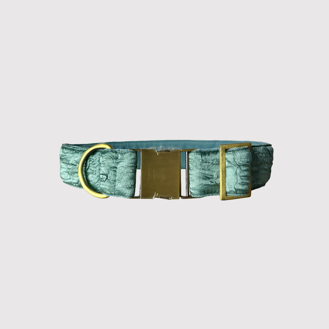 Neck Collar