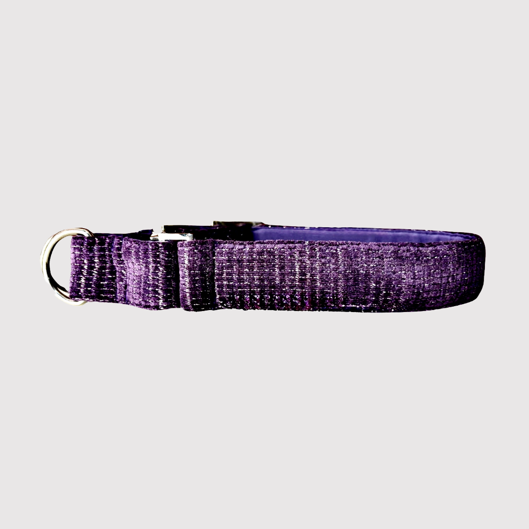 No-Pull Neck Collar