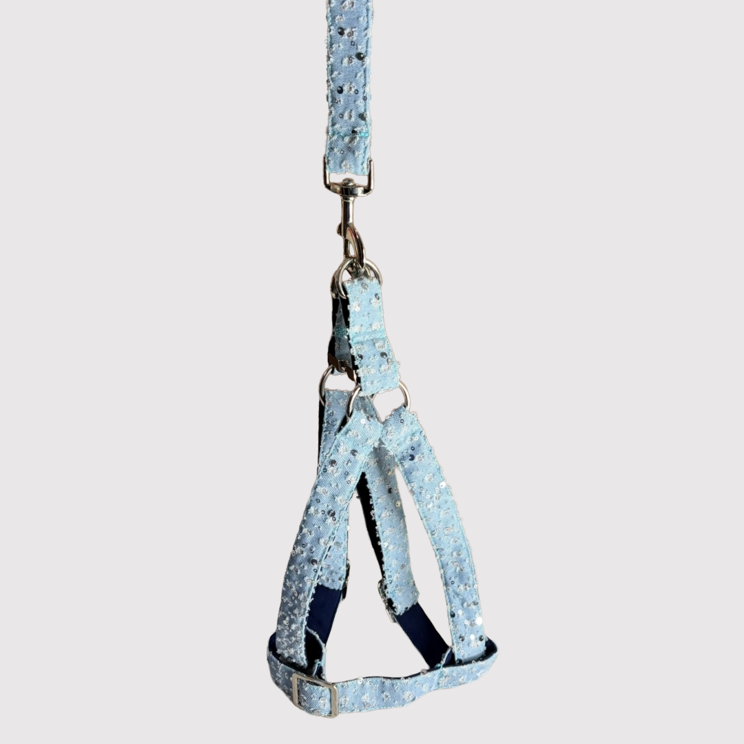Step-In Harness
