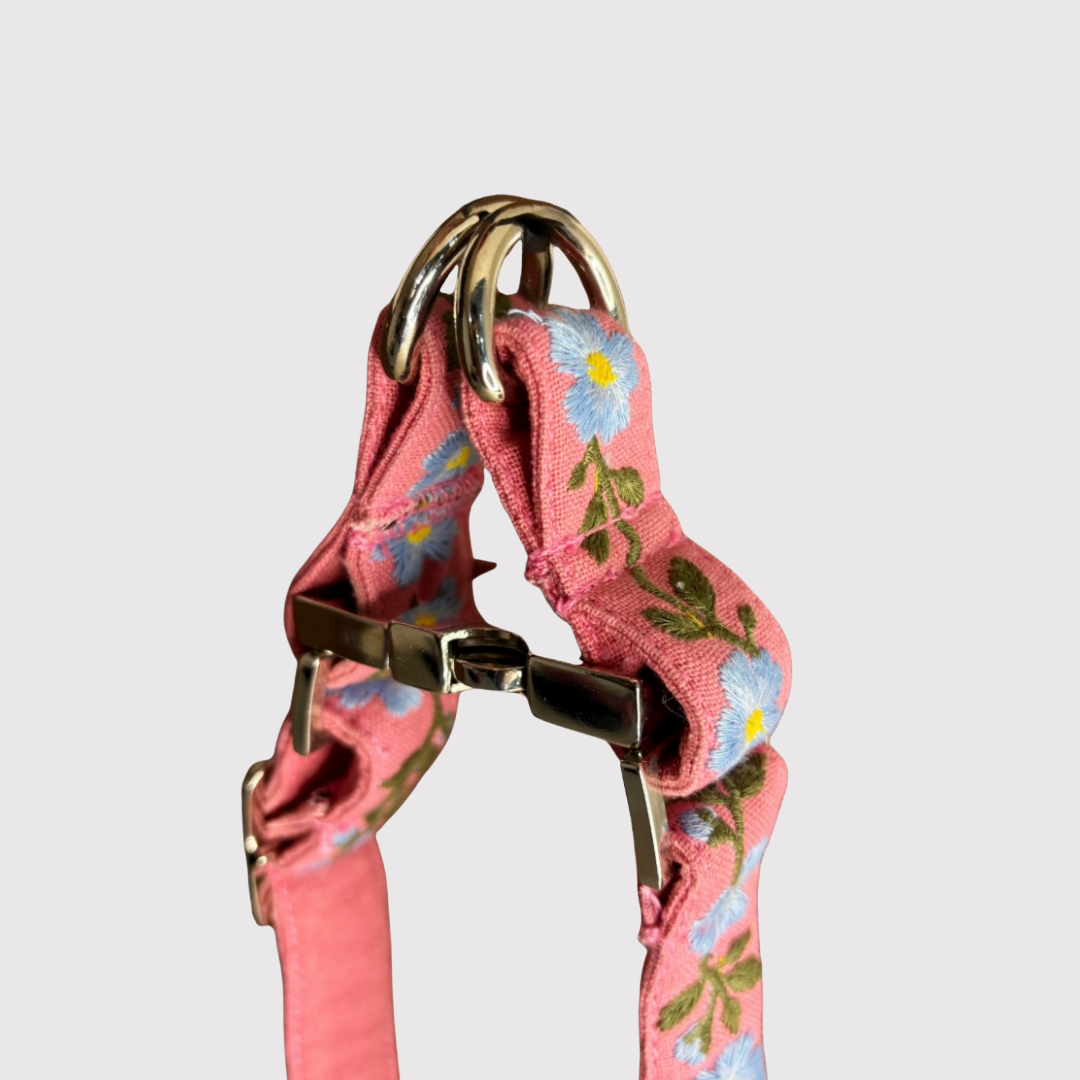 No-Pull Collar