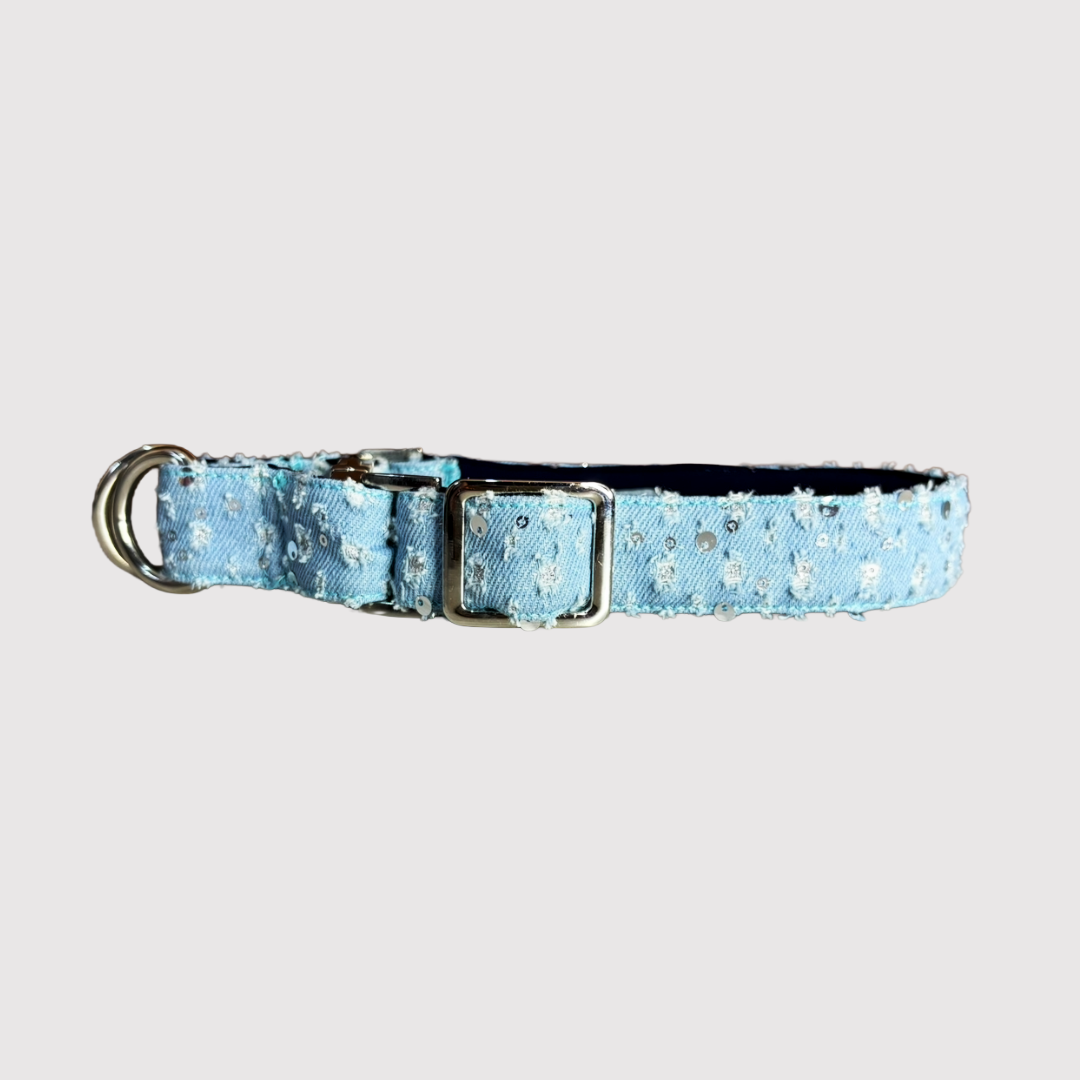 No-Pull Neck Collar
