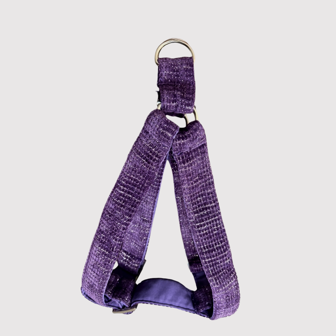 Step-In Harness