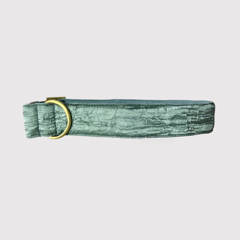 Neck Collar