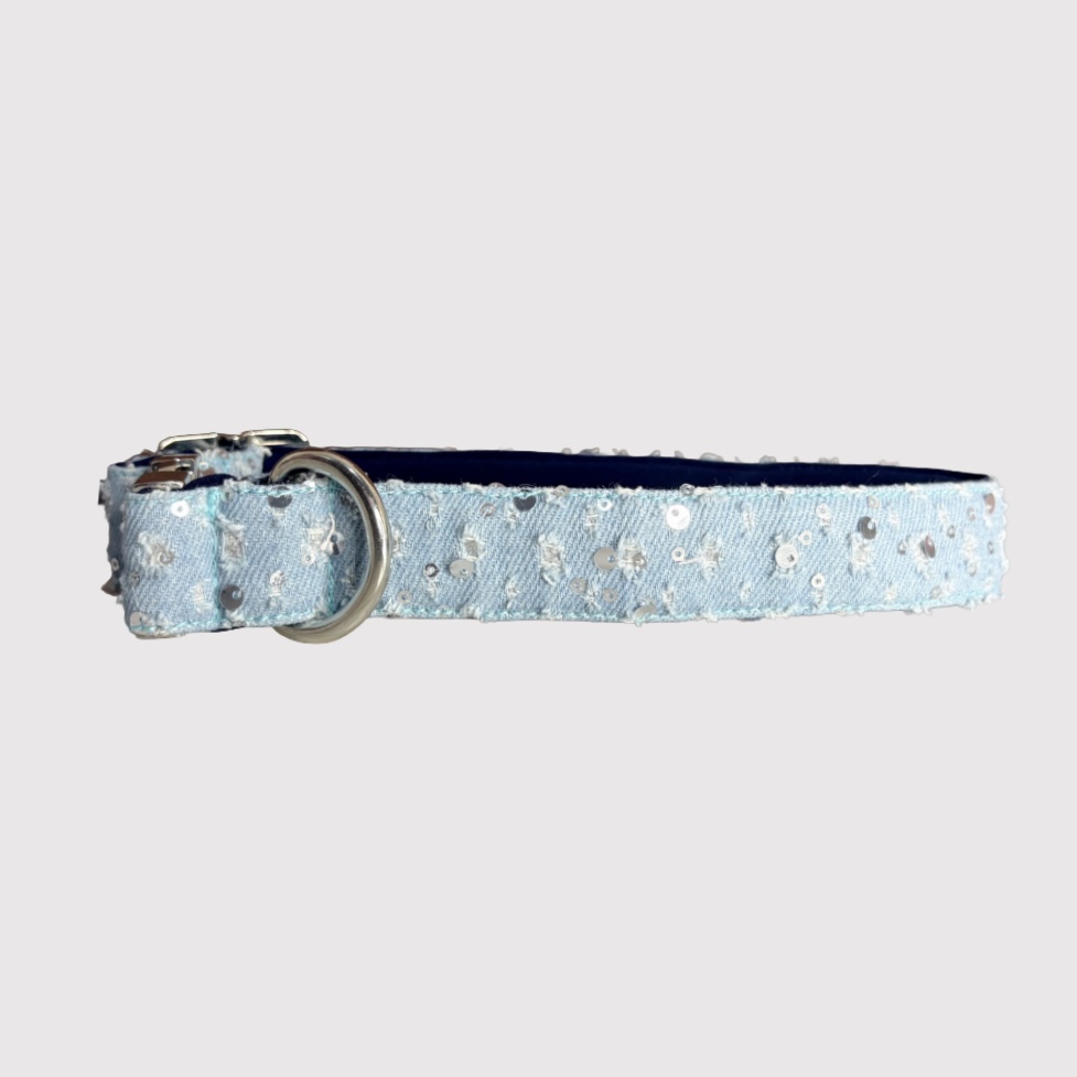 Neck Collar