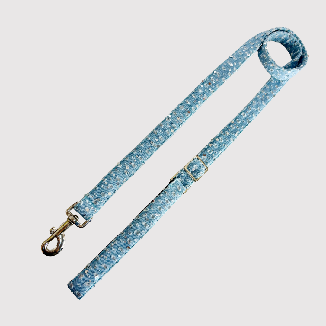 Adjustable Leash