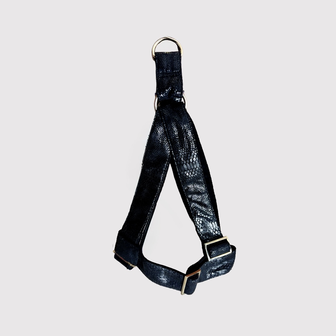Step-In Harness