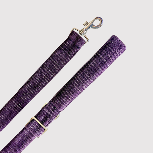 Adjustable Leash