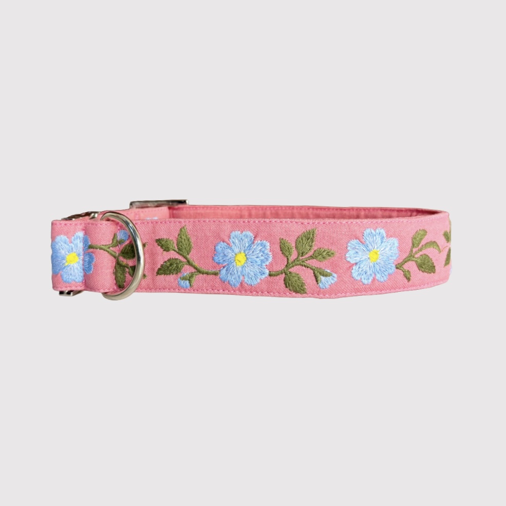 Neck Collar