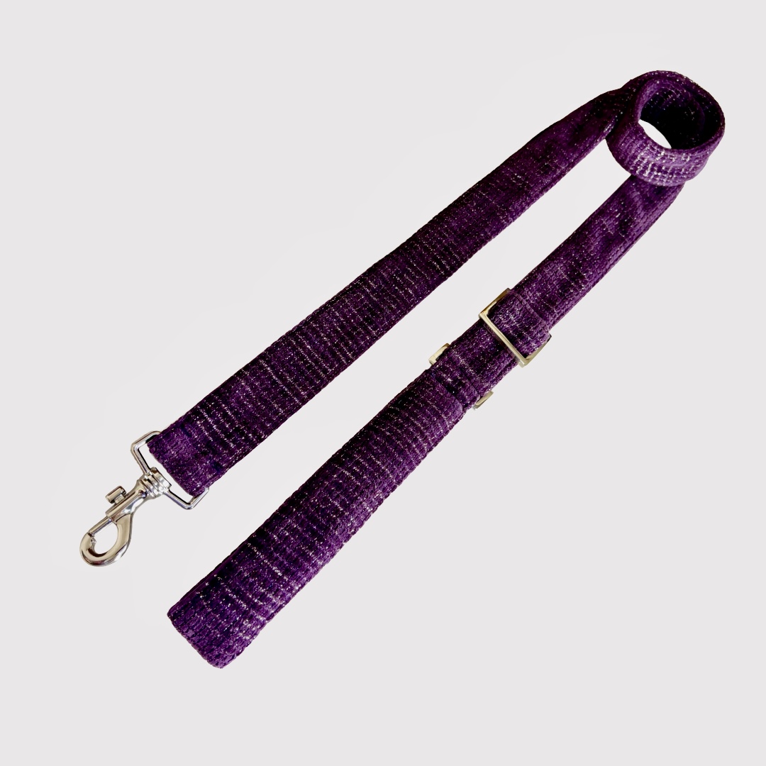 Adjustable Leash