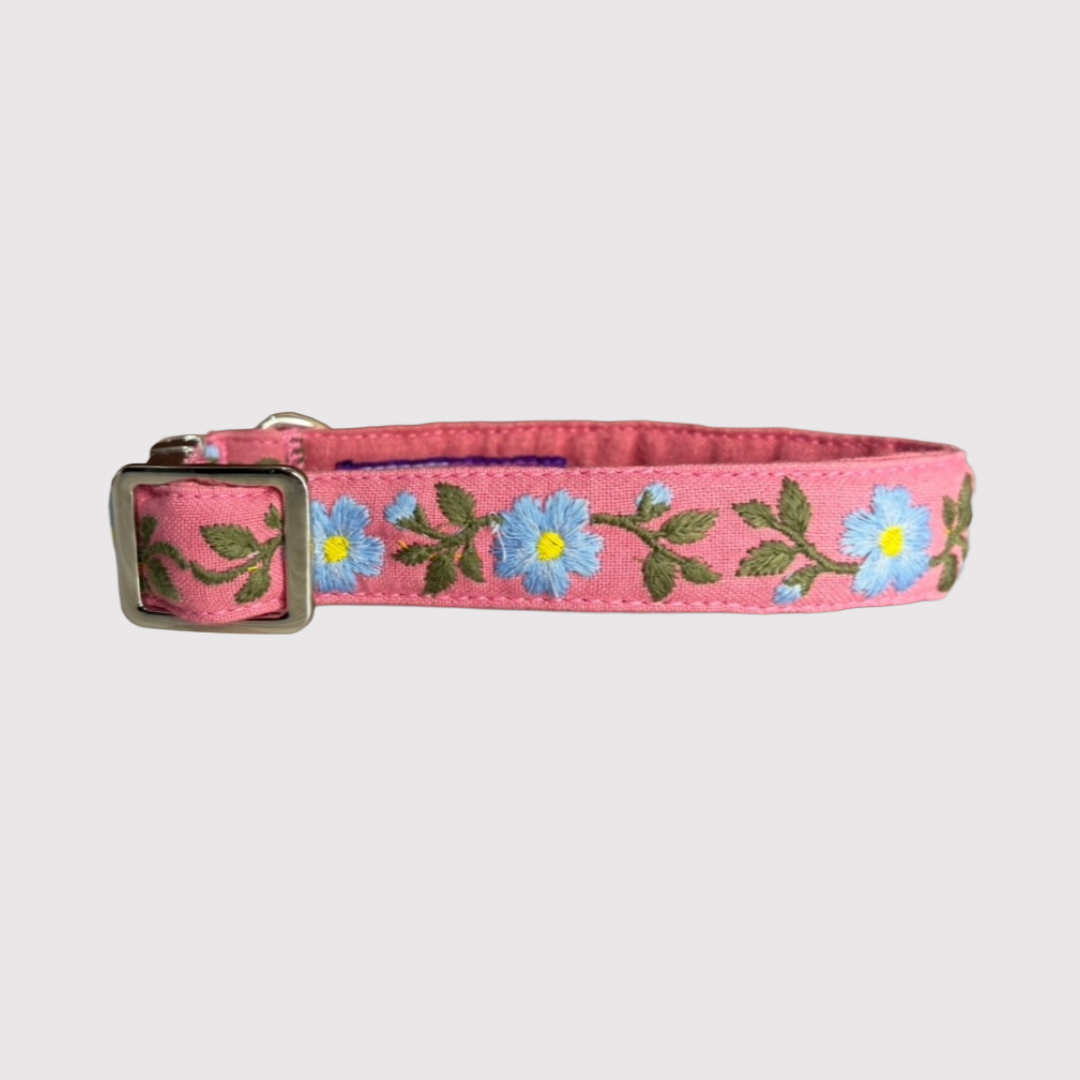 Neck Collar