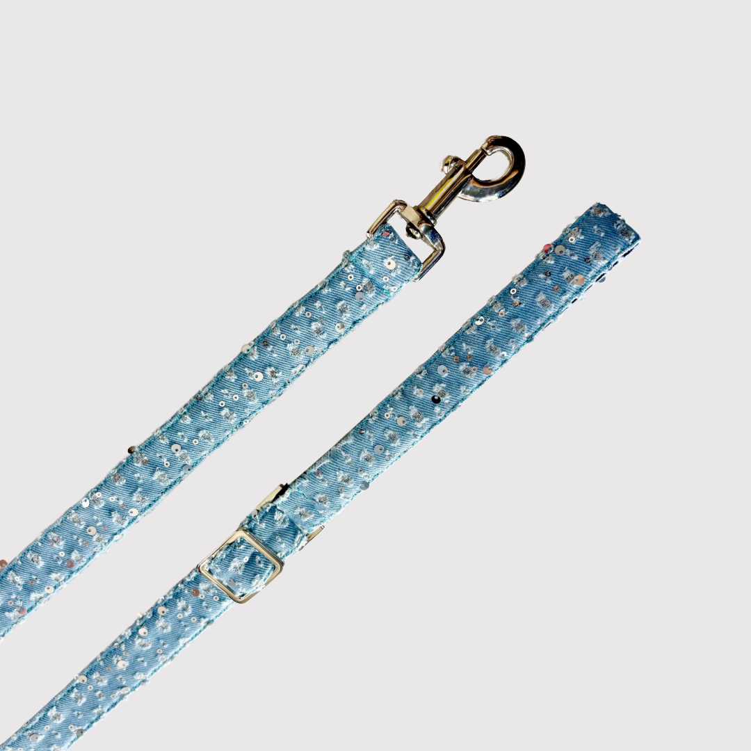 Adjustable Leash