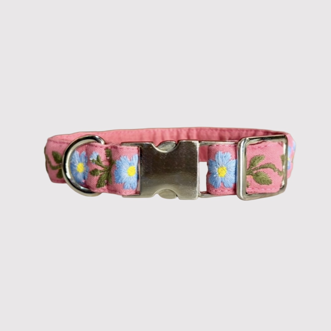 Neck Collar