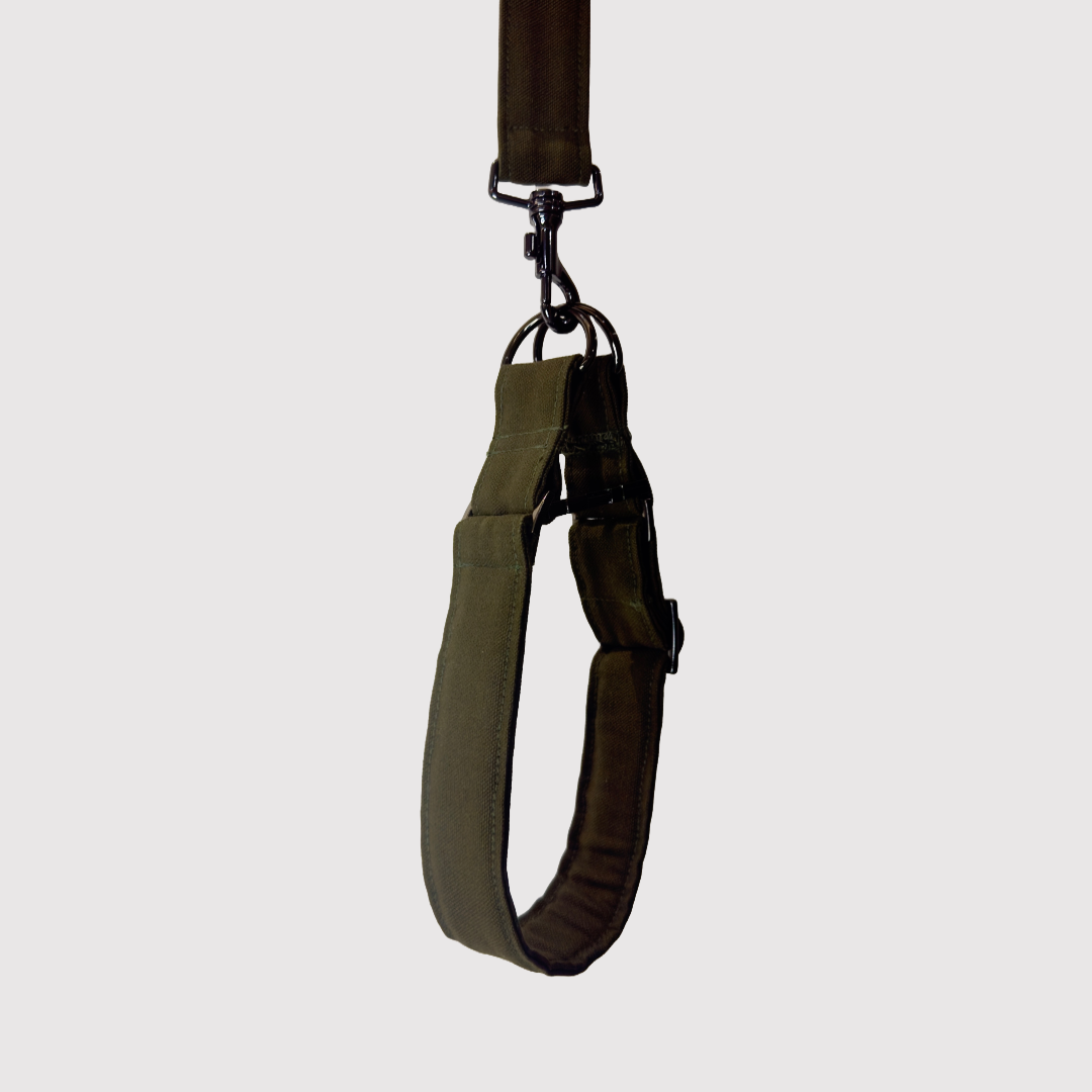 No-Pull Neck Collar
