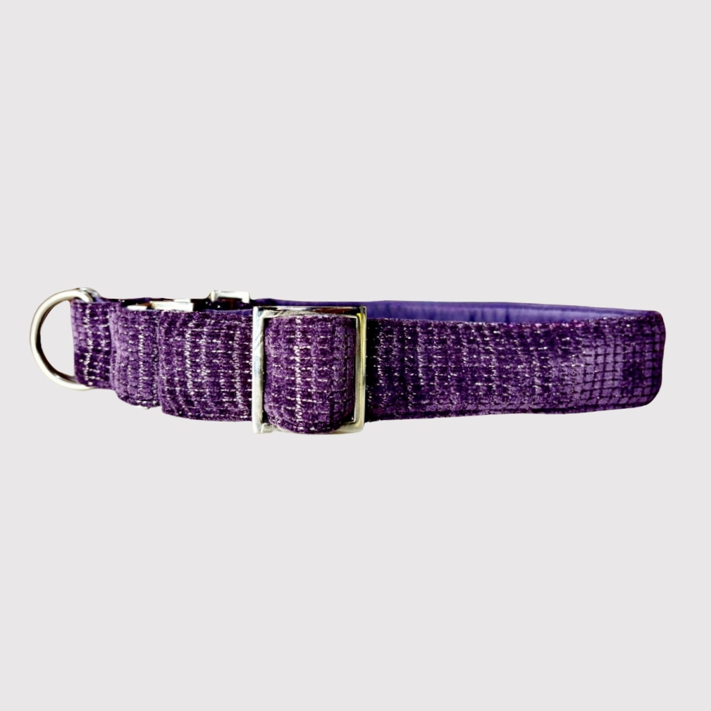 No-Pull Neck Collar