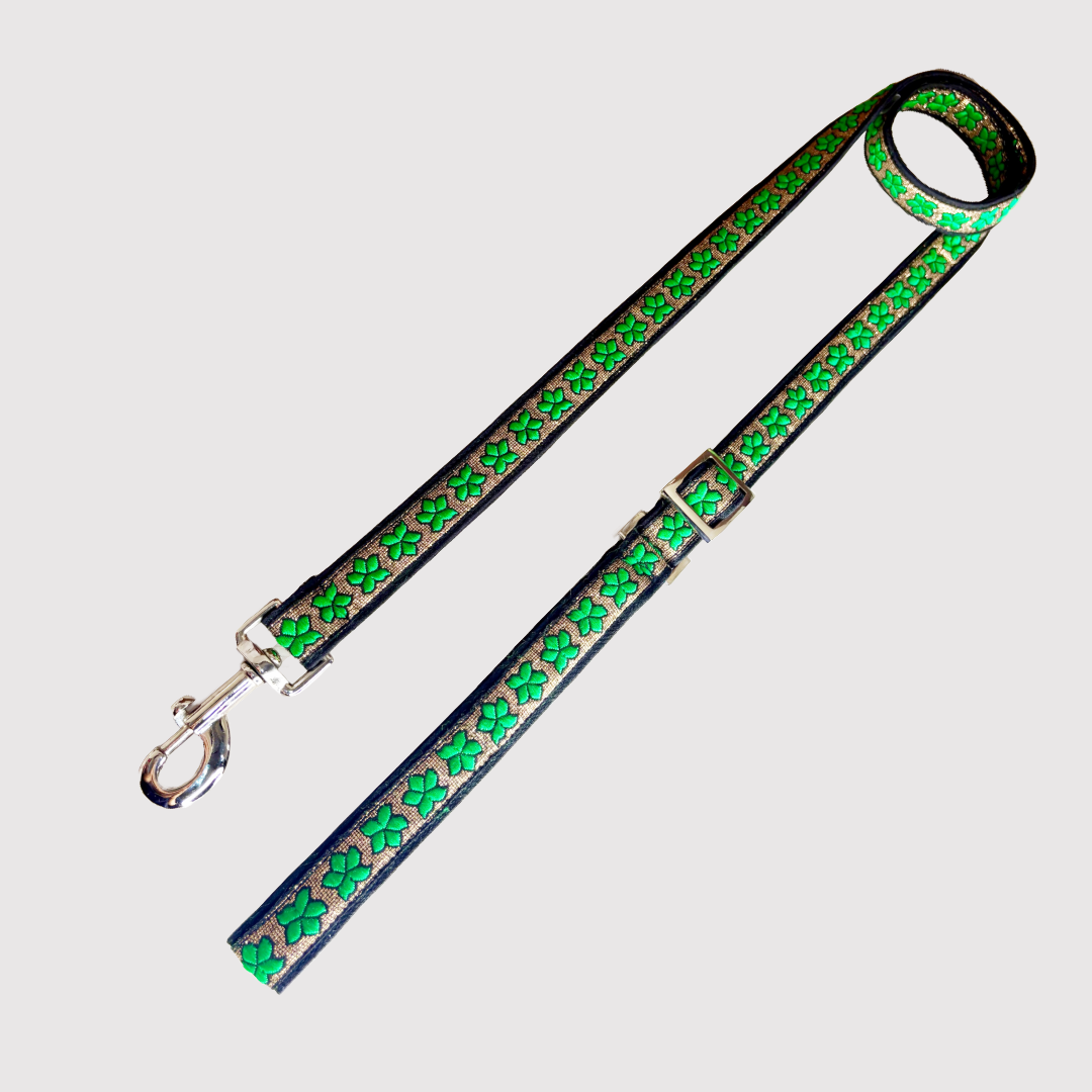 Adjustable Leash