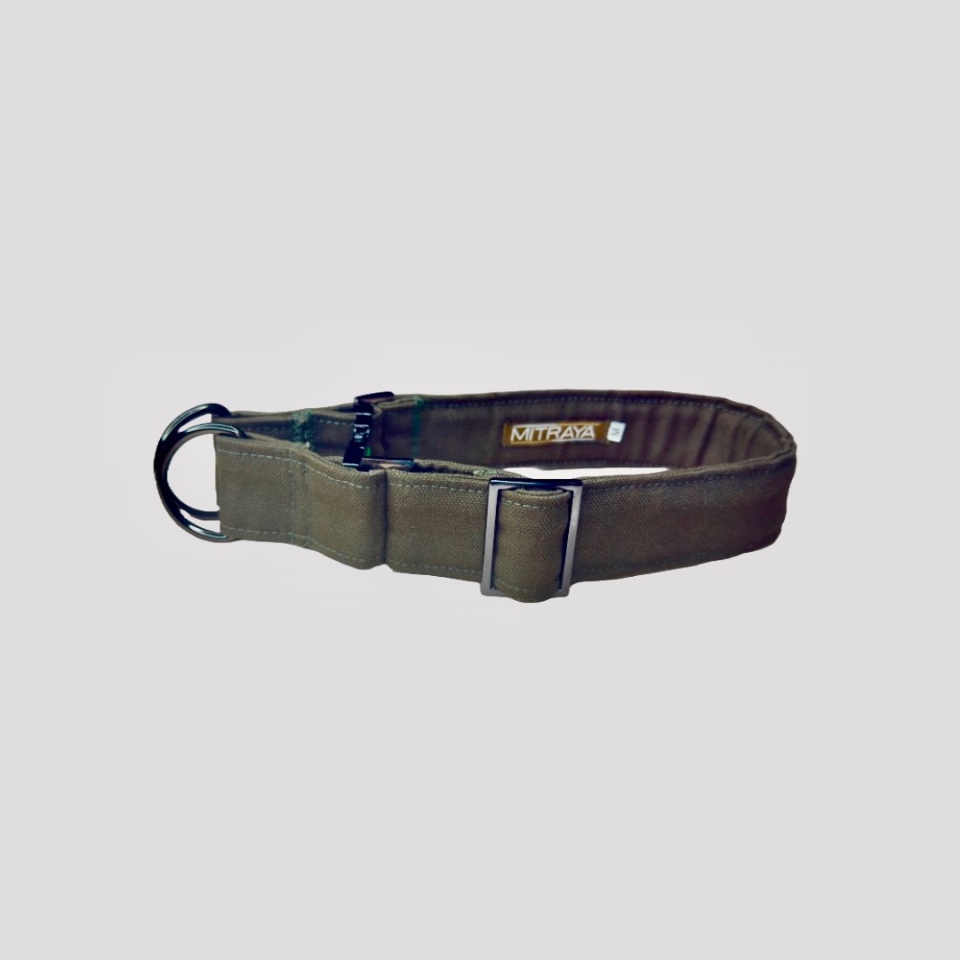 No-Pull Neck Collar