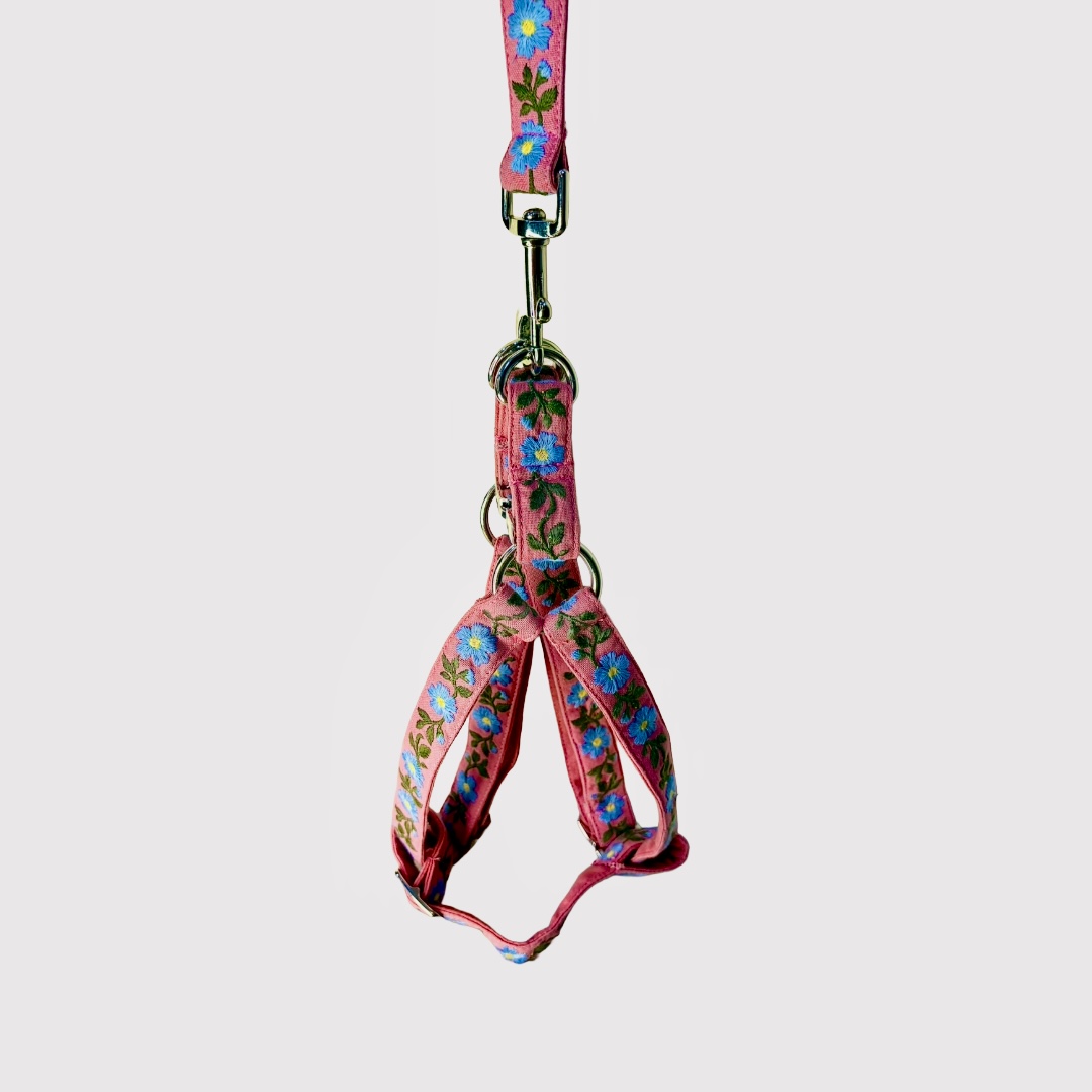 Step-In Harness