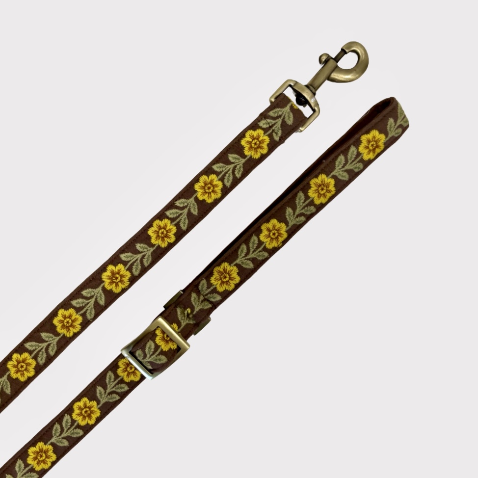 Adjustable Leash