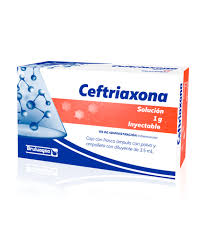 Ceftriaxona 1gr 1frasco IM inyectable Bruluagsa