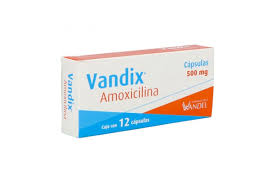 Vandix Amoxicilina 500mg 12 capsulas