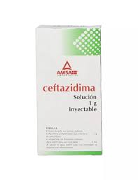 Ceftazidima 1gr 1frasco inyectable Amsa