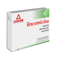 Lincomicina 600mg/2ml 5ampolletas inyectables Amsa