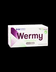 Wermy 300mg Gabapentina 30 capsulas