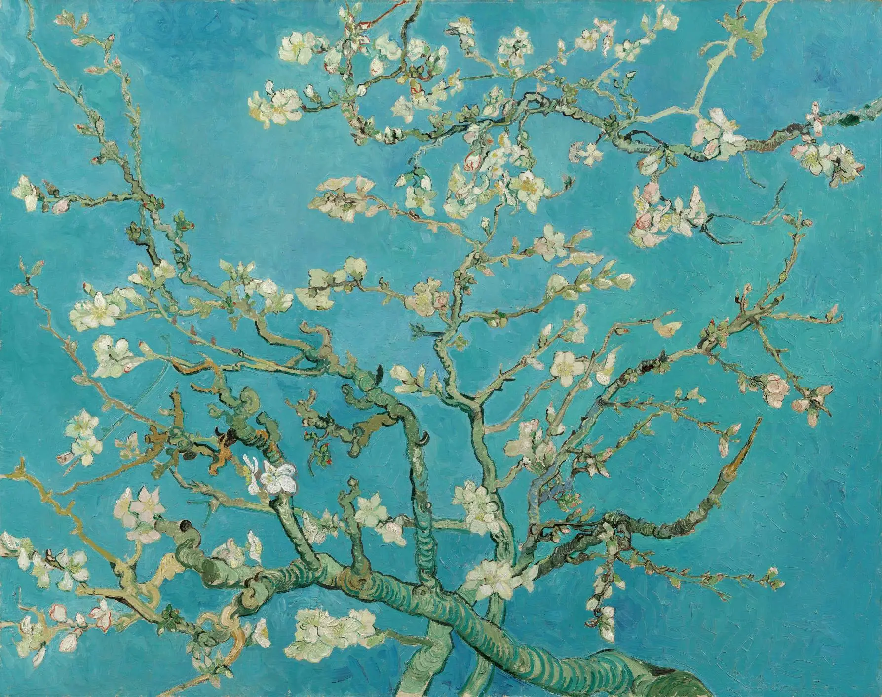 Van Gogh „Migdolų žiedai“ („Almond Blossom“) – reprodukcija ant drobės