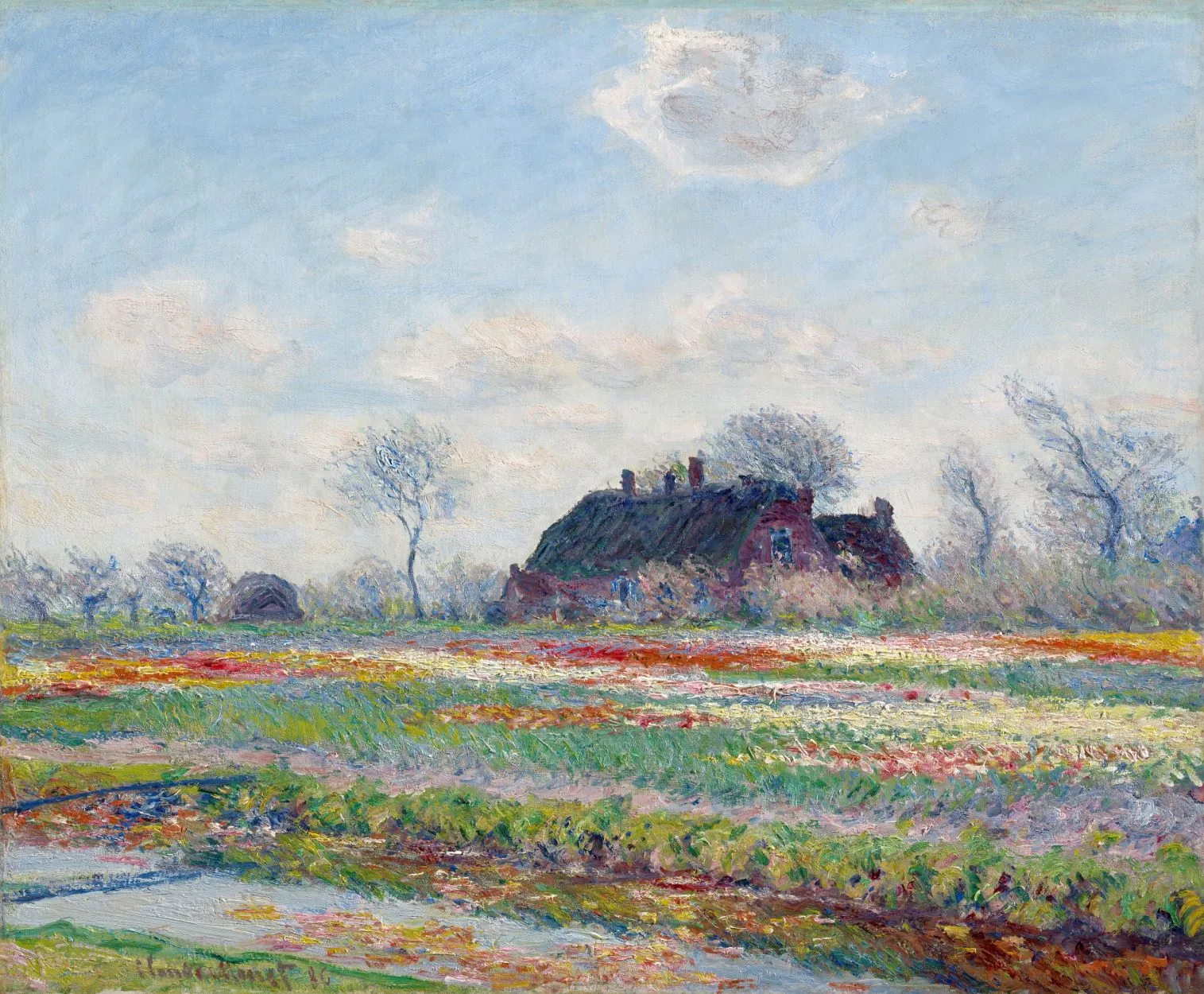 Claude Monet „Tulip Fields at Sassenheim“ – reprodukcija ant drobės