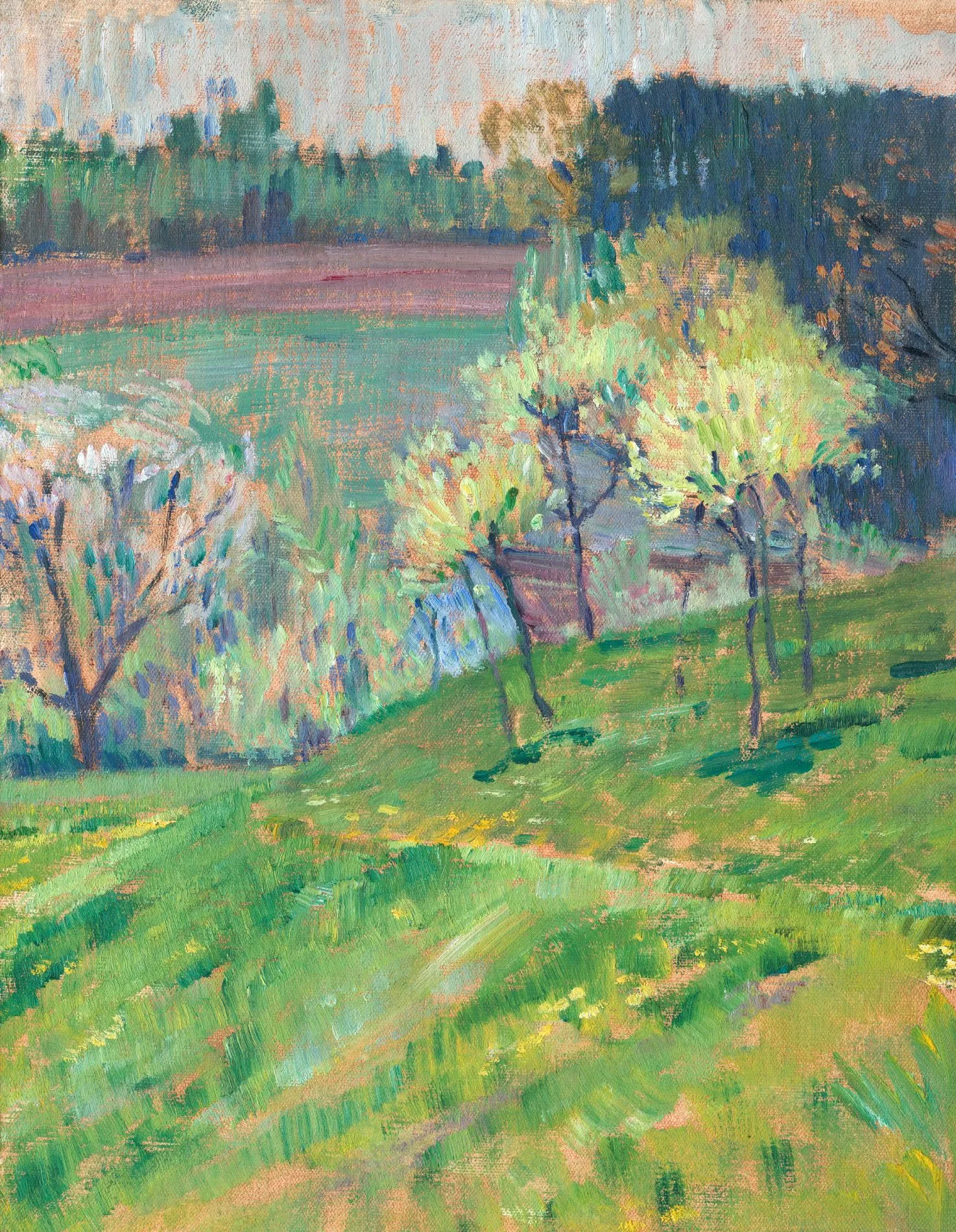 Jan Preisler „Blooming Orchard“ – paveikslo reprodukcija ant drobės