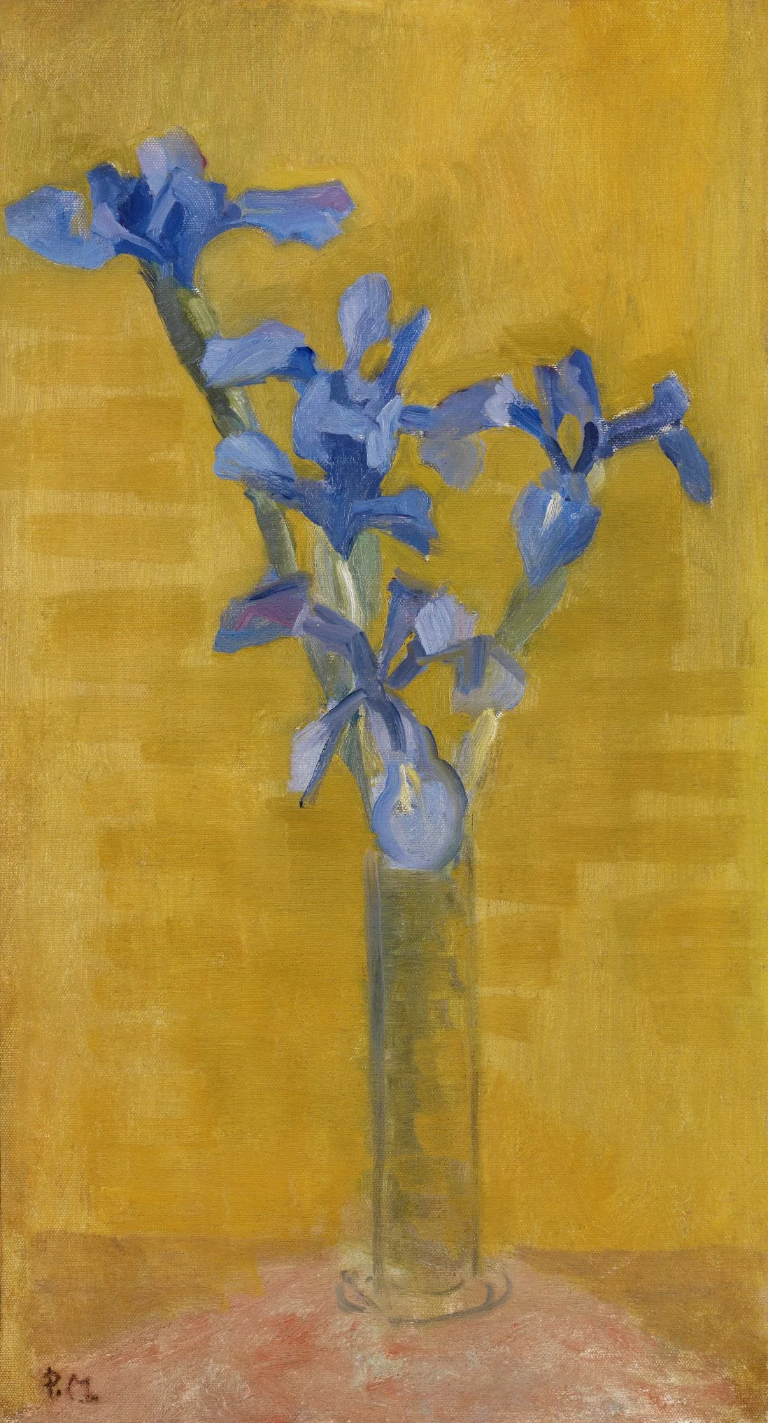 Piet Mondrian „Irises“ – paveikslas ant drobės