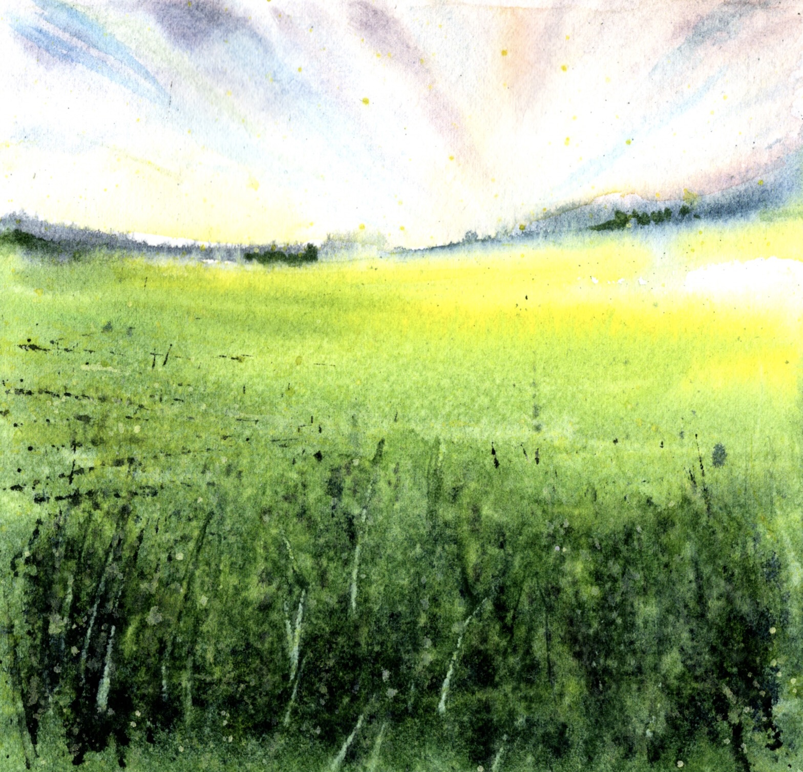 Humidité pyrénéenne