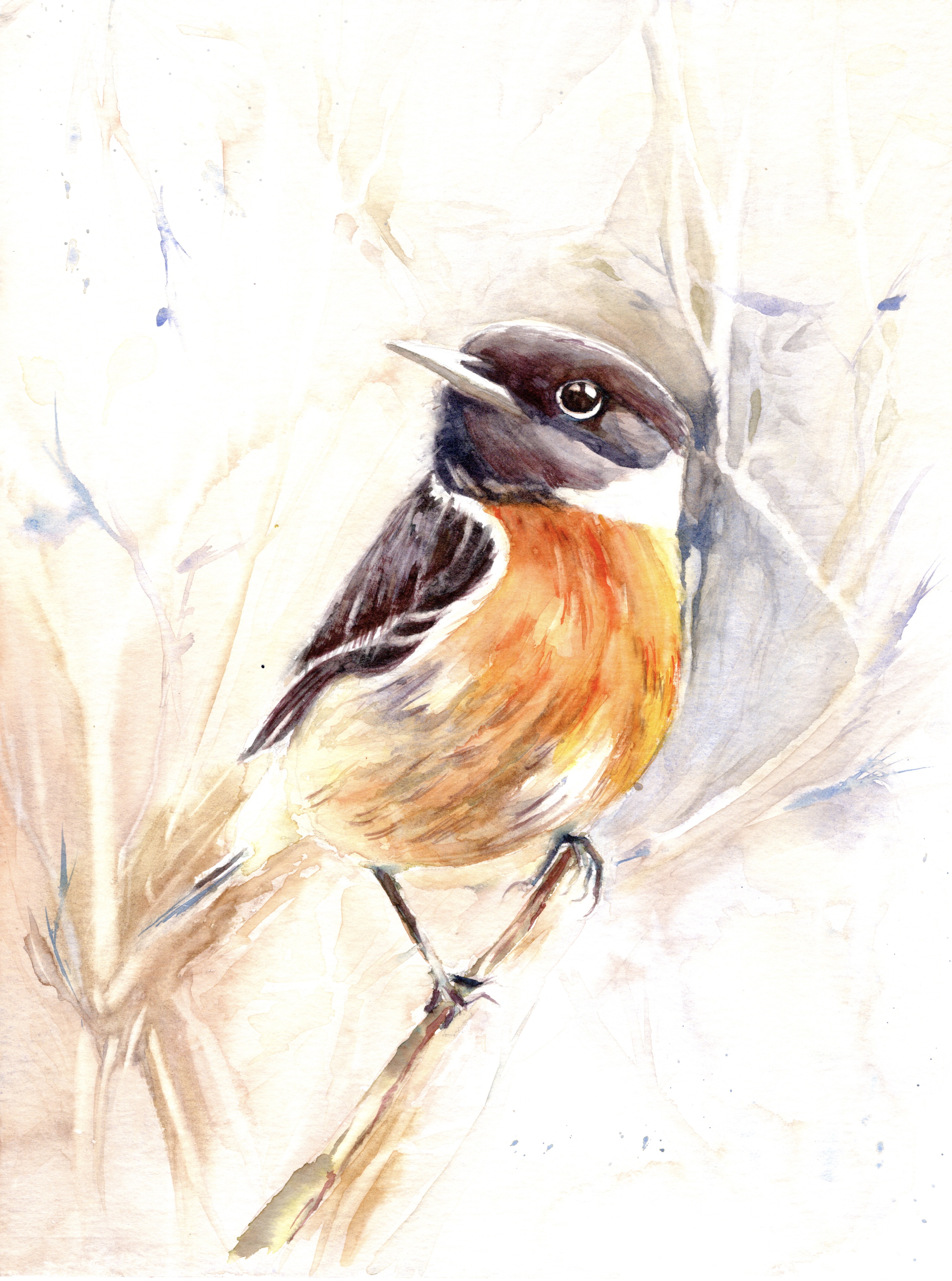 Tarier, l'esprit des haies