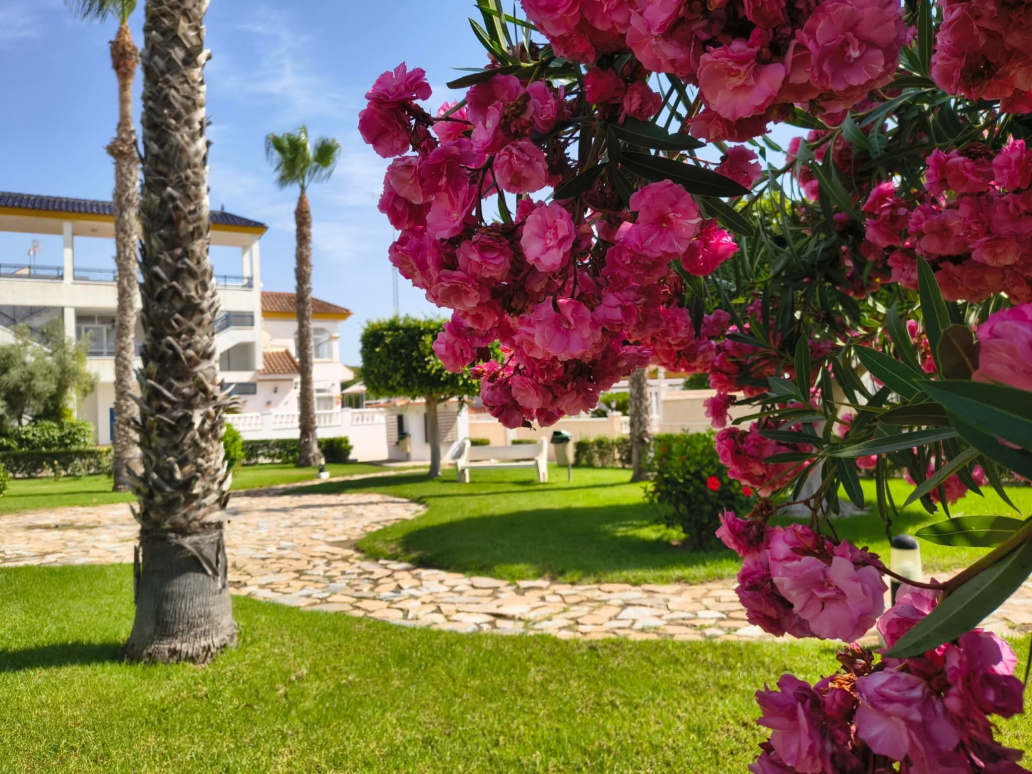Location bungalow Mil Palmeras