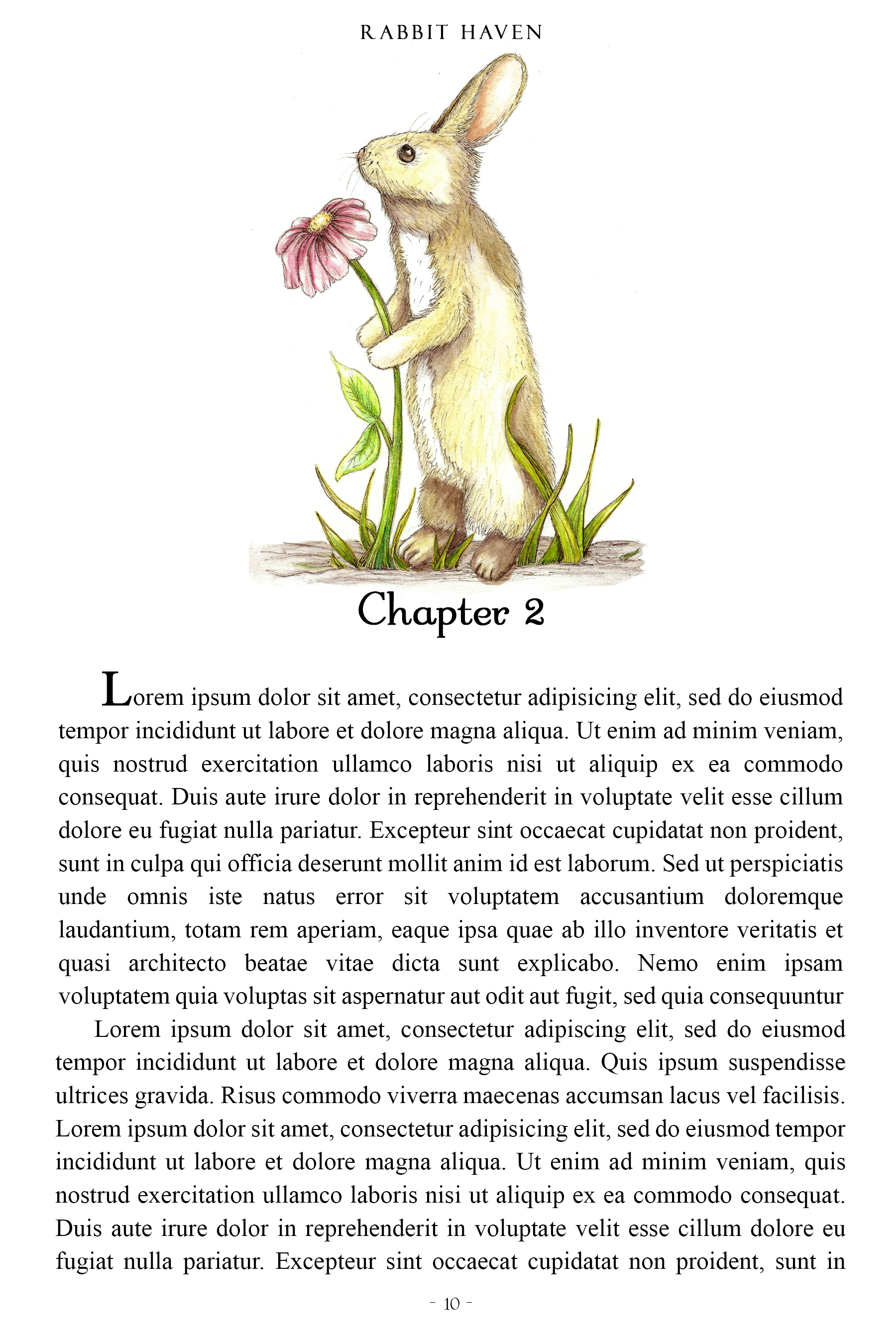 Rabbit with Gerber Daisy Single Header Illustration - Color + Grayscale