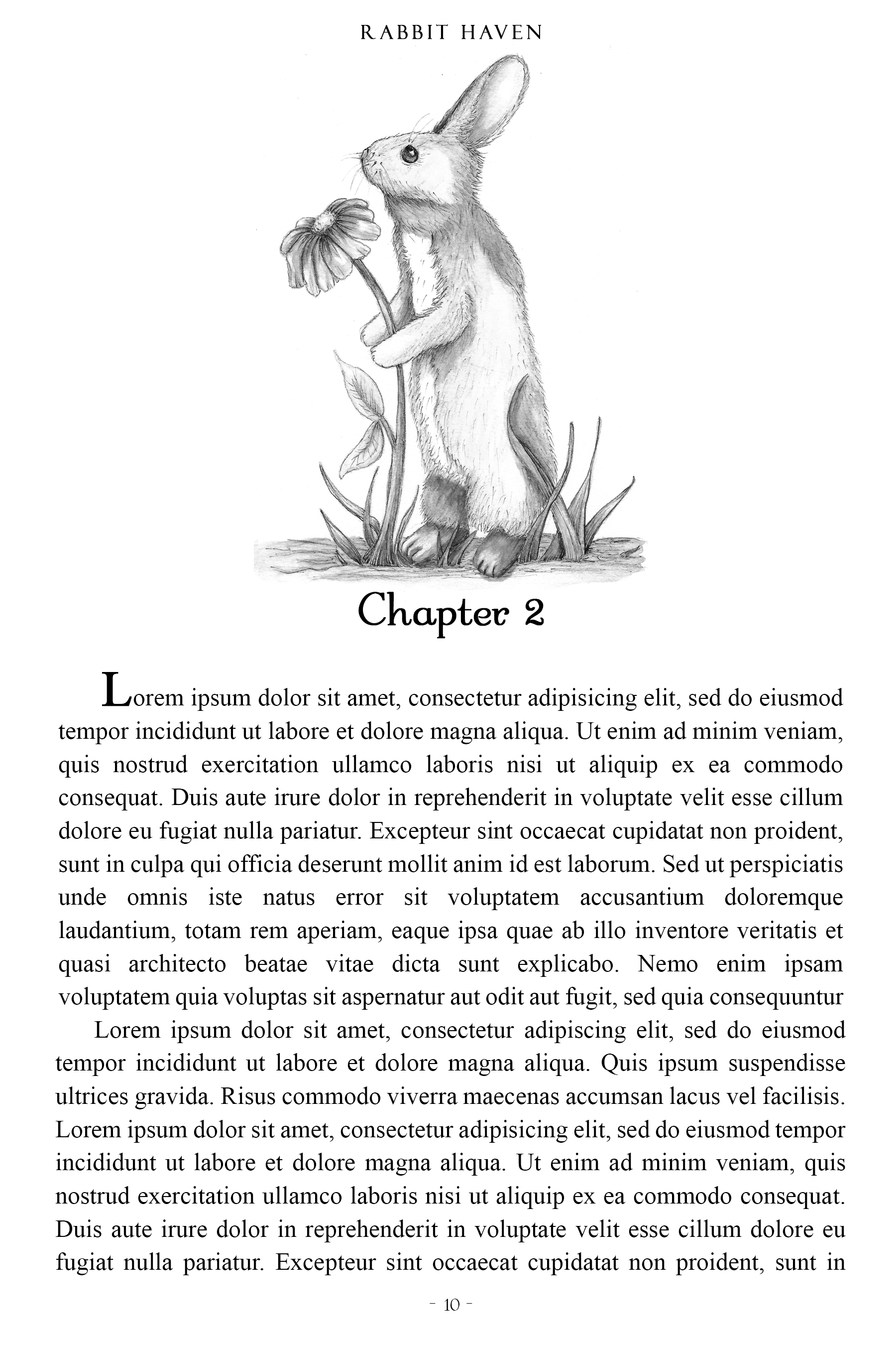 Rabbit with Gerber Daisy Single Header Illustration - Color + Grayscale