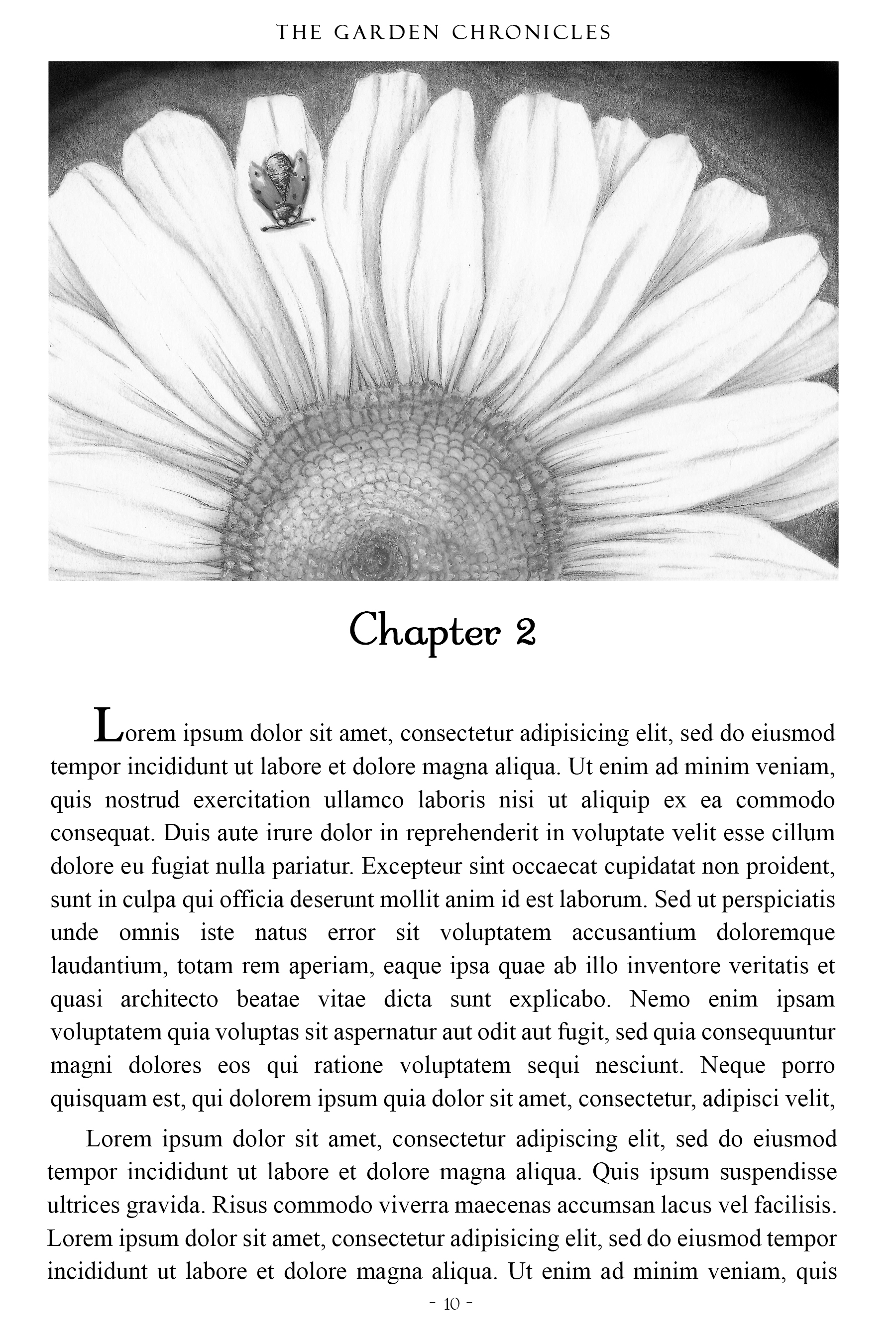 Chamomile & Lady Bug Single Header Illustration